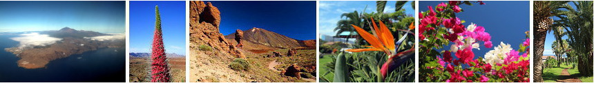 Dovolená na Tenerife? Klikněte zde, vyberte zájezd a jeďte!!!